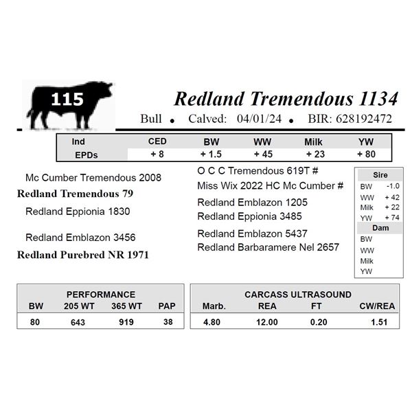 Redland Tremendous 1134