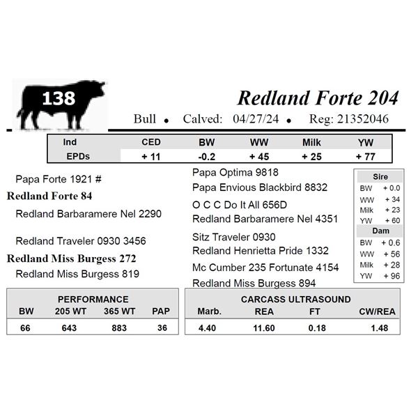 Redland Forte 204