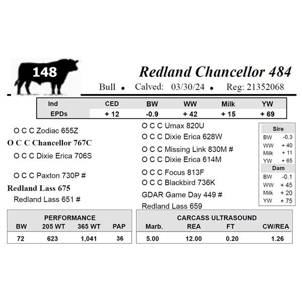 Redland Chancellor 484