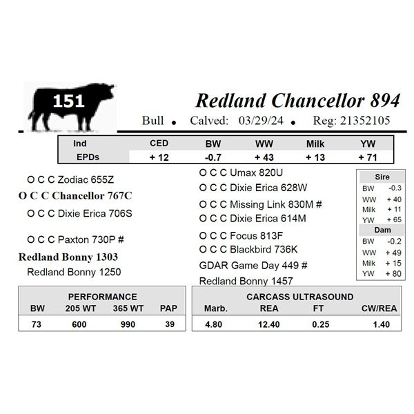 Redland Chancellor 894