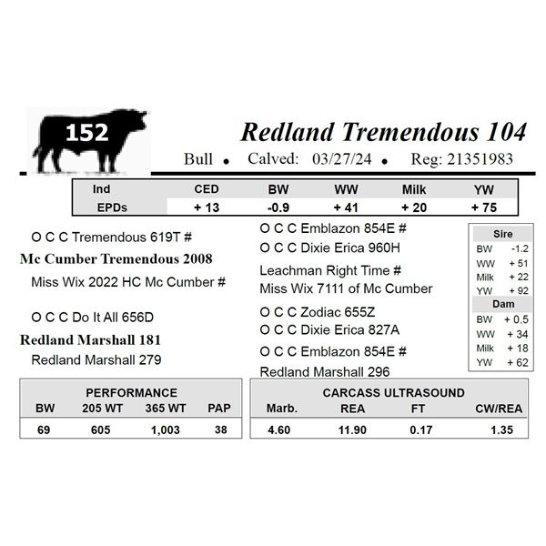 Redland Tremendous 104