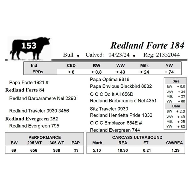 Redland Forte 184