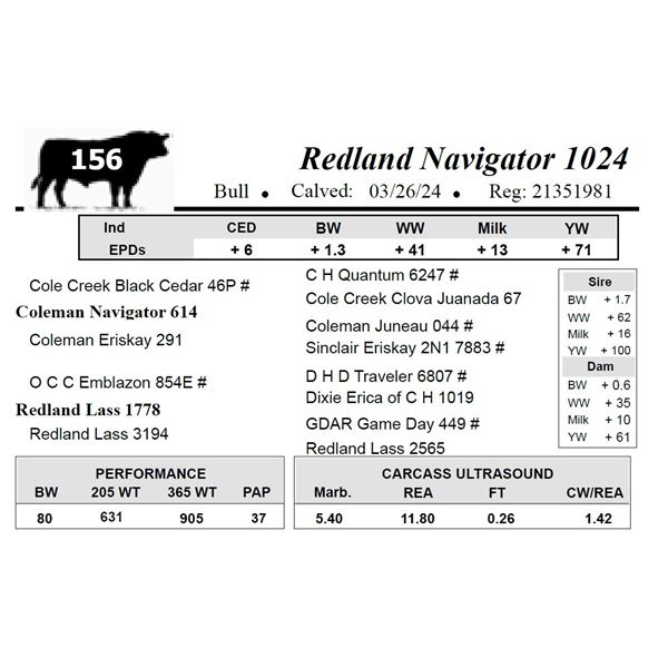 Redland Navigator 1024