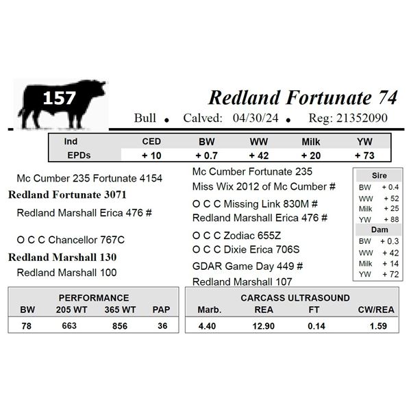 Redland Fortunate 74