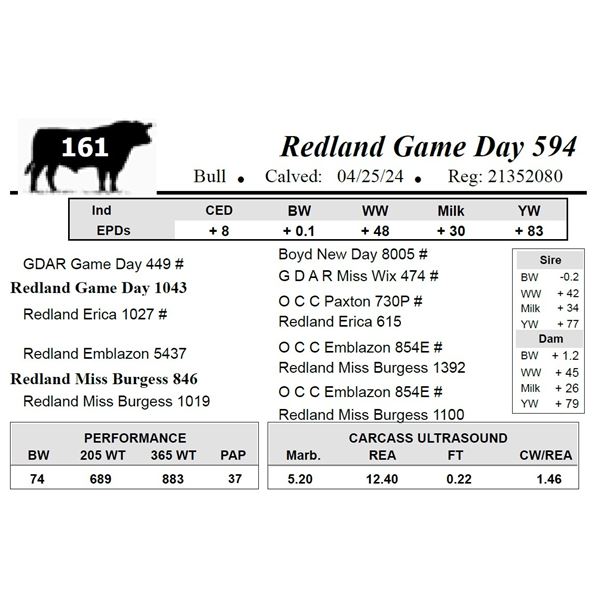Redland Game Day 594