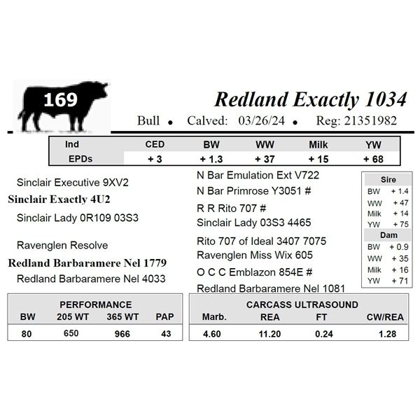 Redland Exactly 1034