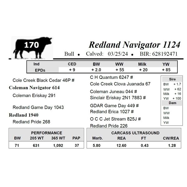 Redland Navigator 1124