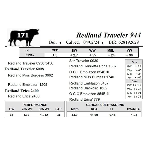 Redland Traveler 944