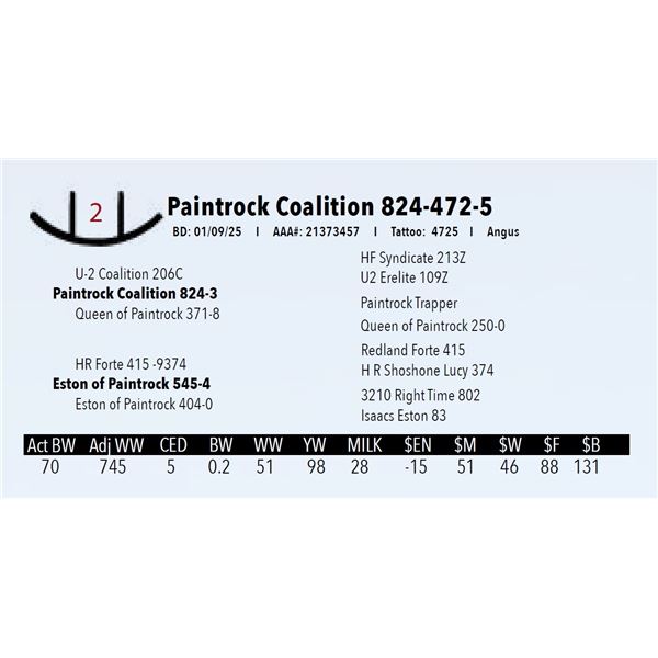 Paintrock Coalition 824-472-5