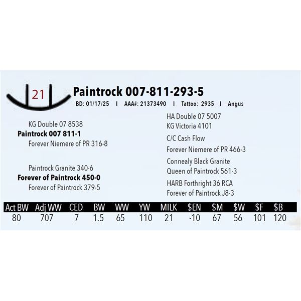 Paintrock 007-811-293-5