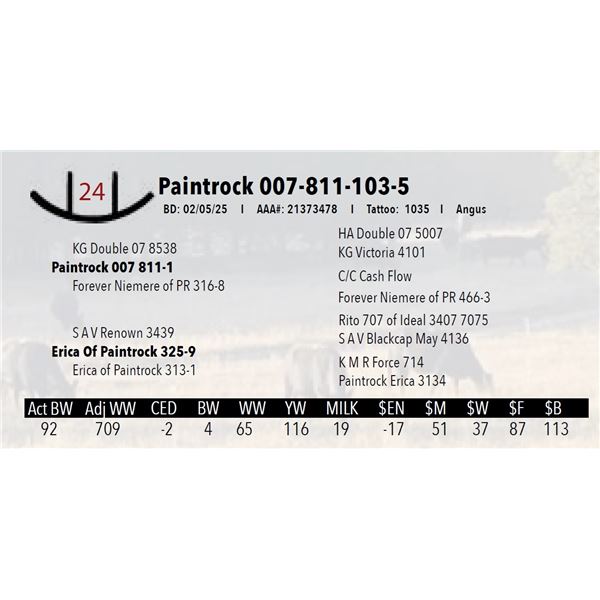 Paintrock 007-811-103-5