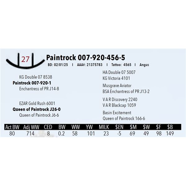 Paintrock 007-920-456-5