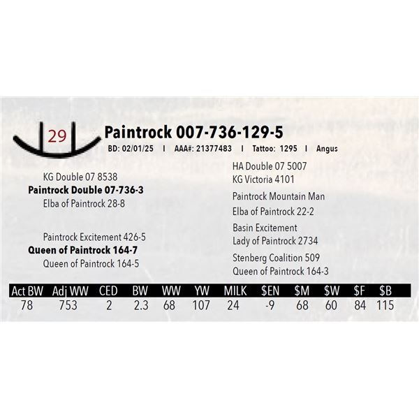 Paintrock 007-736-129-5