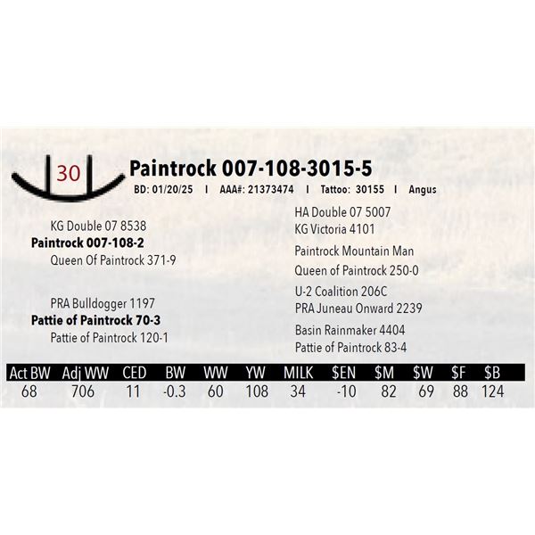 Paintrock 007-108-3015-5