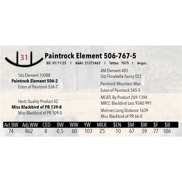 Paintrock Element 506-767-5