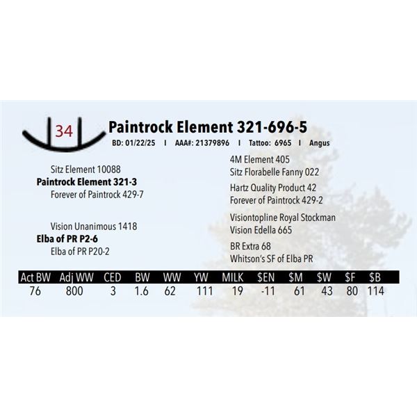 Paintrock Element 321-696-5
