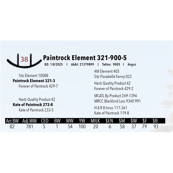 Paintrock Element 321-900-5