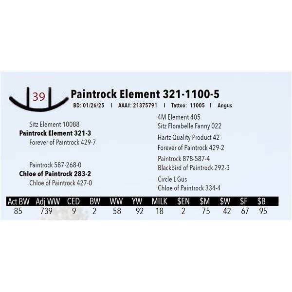Paintrock Element 321-1100-5