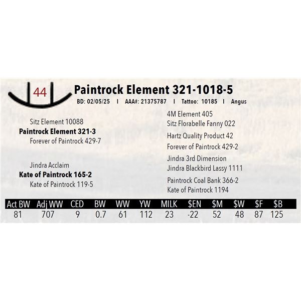 Paintrock Element 321-1018-5