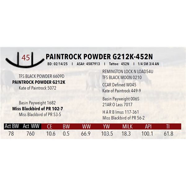PAINTROCK POWDER G212K-452N