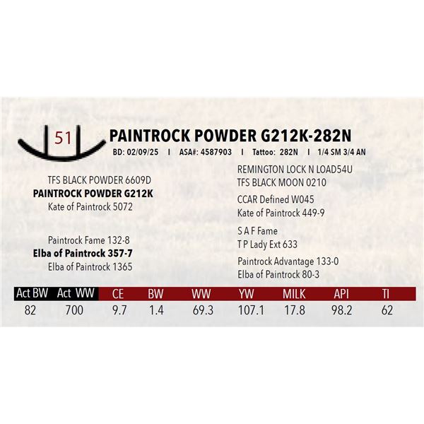 PAINTROCK POWDER G212K-282N