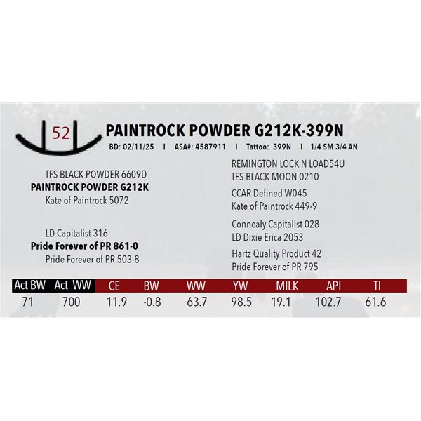 PAINTROCK POWDER G212K-399N