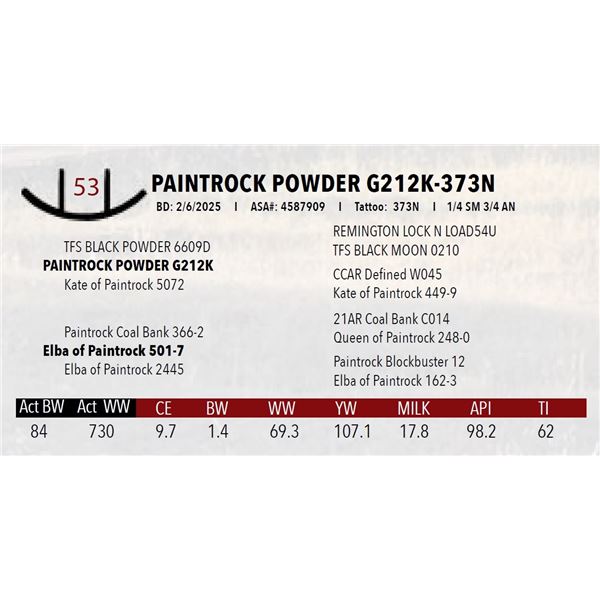 PAINTROCK POWDER G212K-373N