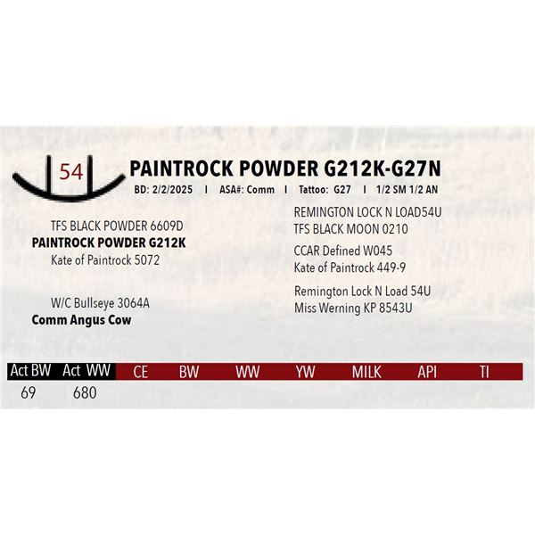 PAINTROCK POWDER G212K-G27N