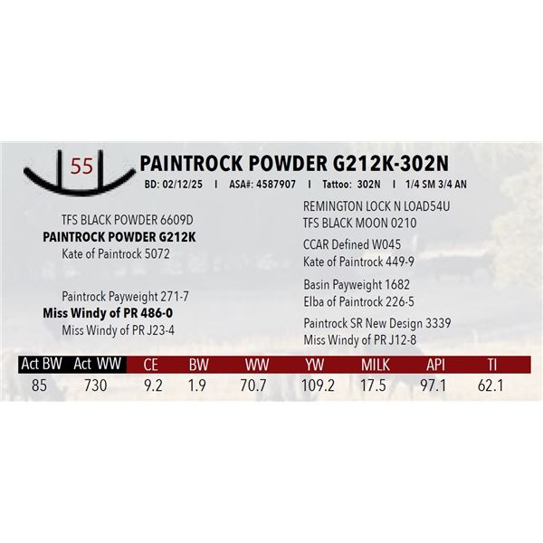 PAINTROCK POWDER G212K-302N