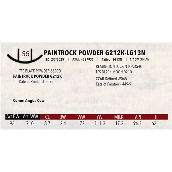 PAINTROCK POWDER G212K-LG13N