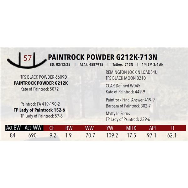 PAINTROCK POWDER G212K-713N