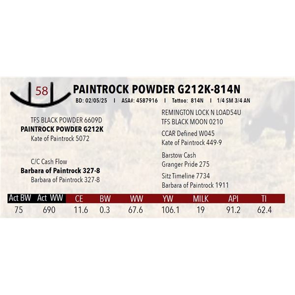 PAINTROCK POWDER G212K-814N
