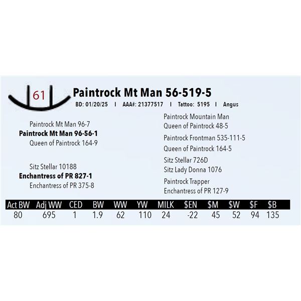 Paintrock Mt Man 56-519-5