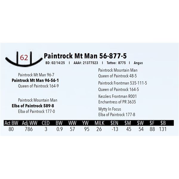 Paintrock Mt Man 56-877-5