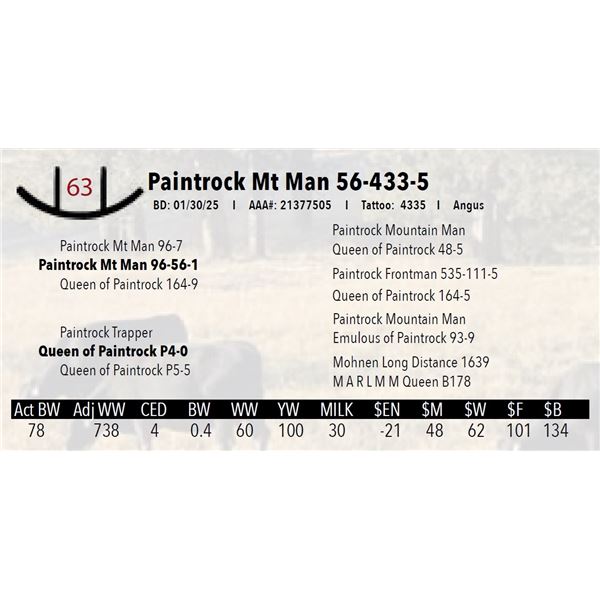 Paintrock Mt Man 56-433-5