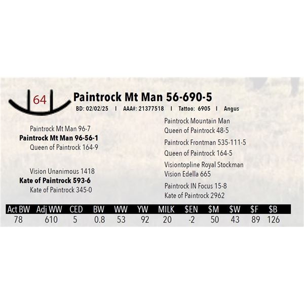 Paintrock Mt Man 56-690-5