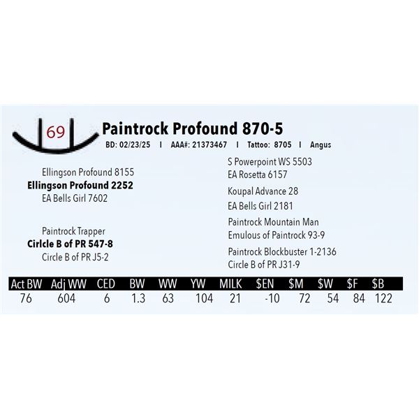 Paintrock Profound 870-5