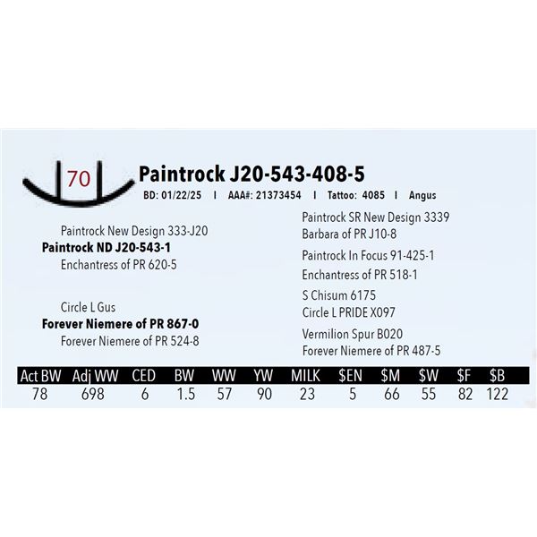 Paintrock J20-543-408-5