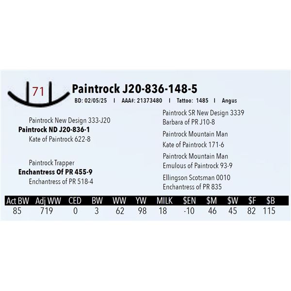 Paintrock J20-836-148-5
