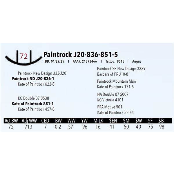 Paintrock J20-836-851-5