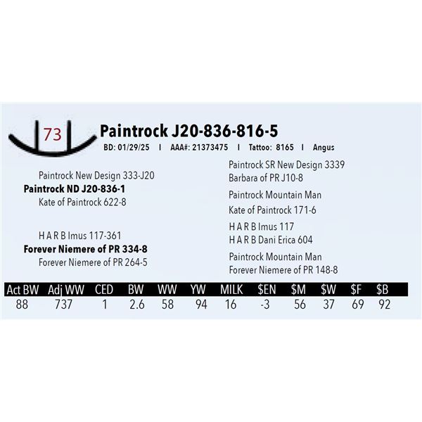 Paintrock J20-836-816-5