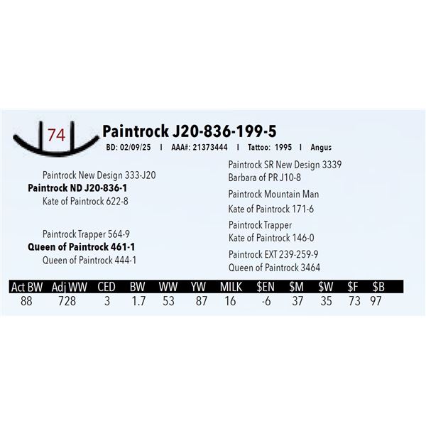 Paintrock J20-836-199-5
