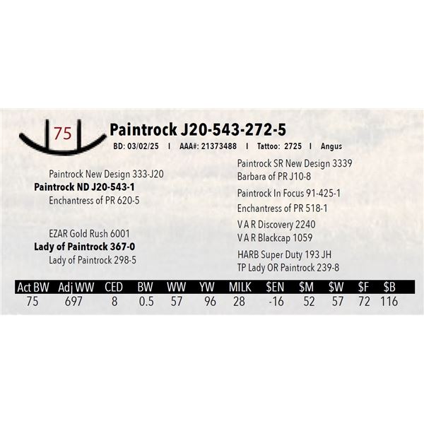 Paintrock J20-543-272-5