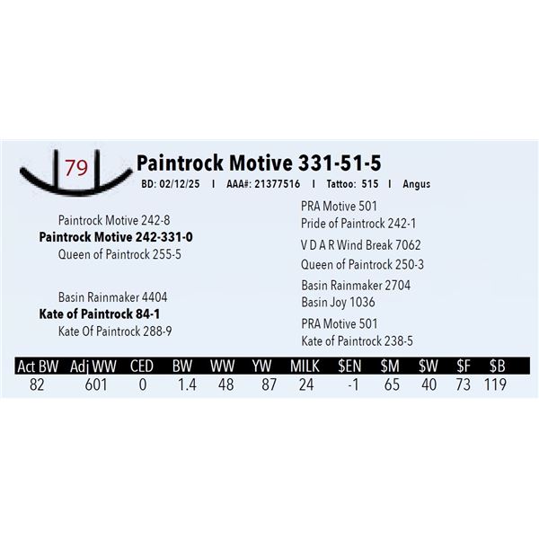 Paintrock Motive 331-51-5