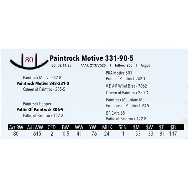 Paintrock Motive 331-90-5