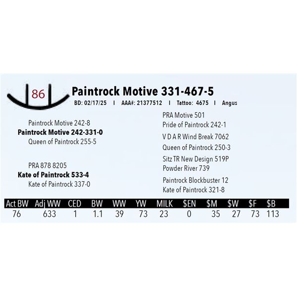 Paintrock Motive 331-467-5