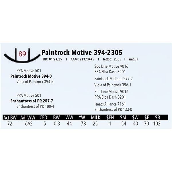 Paintrock Motive 394-2305