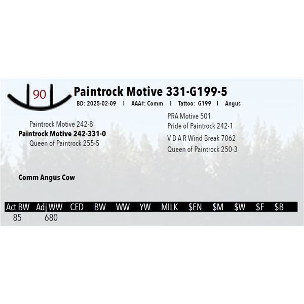 Paintrock Motive 331-G199-5