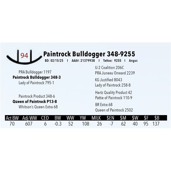 Paintrock Bulldogger 348-9255