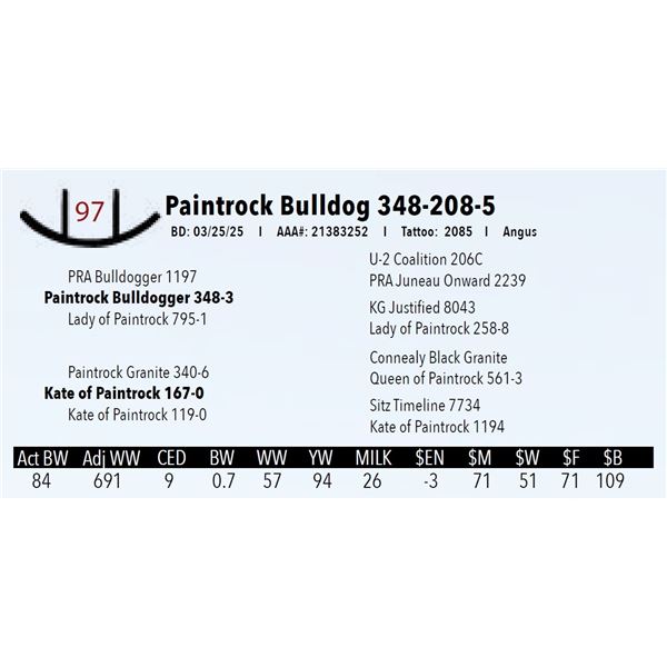 Paintrock Bulldog 348-208-5